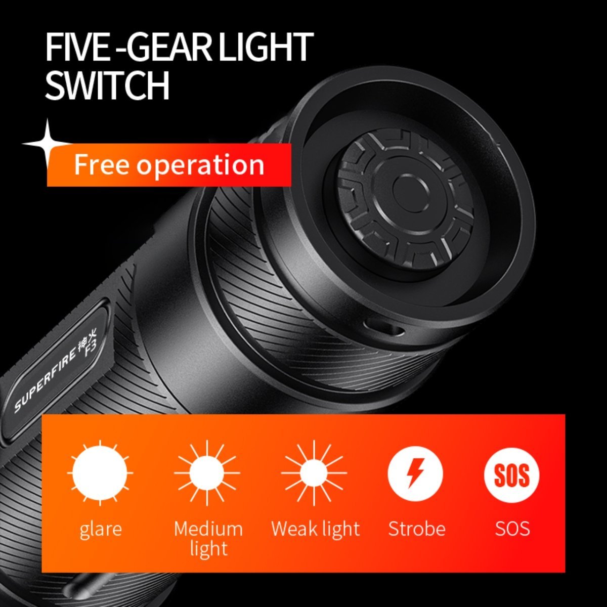 F3 - Image 3
