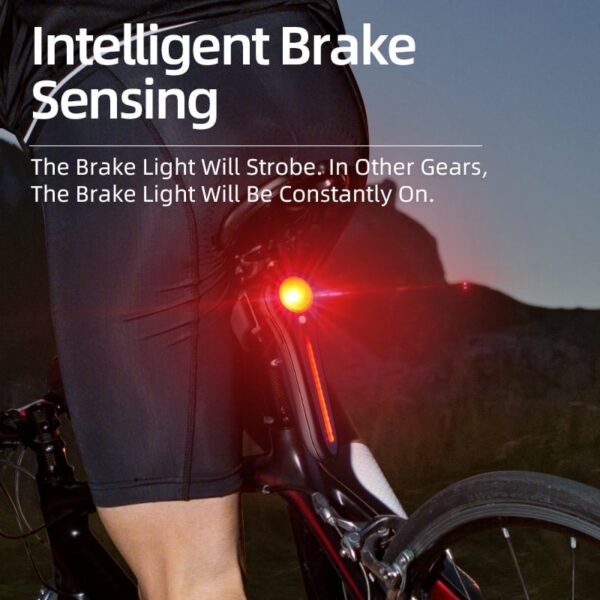 BTL10 - Image 3
